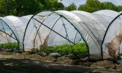 Seralara Hibe Desteği Başvuruları Açıldı