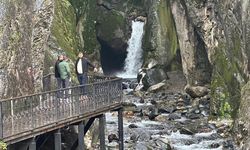 Yalovalıların Doğa Rotası Yeniden Canlandı