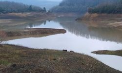 Başkan Gürel’den Su Tasarrufu Çağrısı