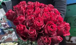 Yağış ve Don Geldi, Uganda ve Kenya Gülleri Öne Çıktı