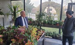 Becan’dan Çiçekçilik Sektörü İçin Kritik Hamle: “KDV %1’e Düşürülsün”