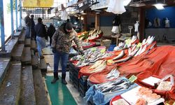 Ramazan Ayı, Yalova’daki Balık Fiyatlarını Düşürdü