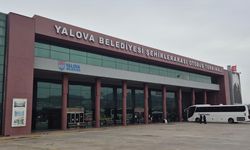 Yalova Terminali’nde İlginç Görüntüler: Büyükbaş Hayvanlar Otladı