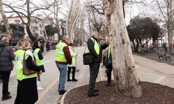 Yalova’da 624 Bin Metrekare Park ve Yeşil Alan Yenilendi
