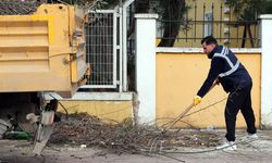 Yalova’da Ağaçlar Sağlıklı Gelişim İçin Budanıyor