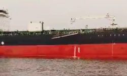 Yalova’da Denizi Kirletti, Cezadan Kaçamadı