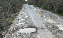 Yalovalı Vatandaşlar Soruyor; “Bu Yol Ne Zaman Yapılacak?”