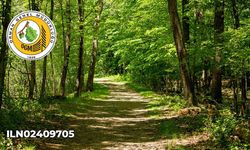 Termal Orman İşletme Şefliğinin 267 Kod Nolu Yolunda Sanat Yapısı Yapım İşi