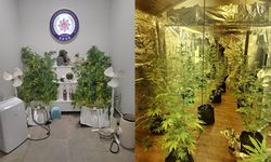 7 Suçtan Aranıyordu, Narkotik Baskınıyla Yakalandı