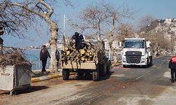 Bahar Geldi, Esenköy Sahilinde Çalışmalar Hızlandı