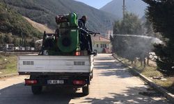 Esenköy Yaza Tertemiz Giriyor