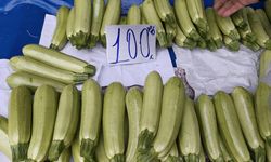 Bu Akşam Tencerede Ne Kaynayacak?