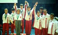 Yalova’dan Avrupa Kürsüsüne: Hakan Kanberoğlu