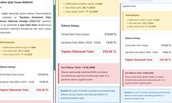 Yalovalılar Dikkat: MHRS Randevu Dolandırıcılığı Alarmı