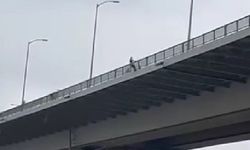 Korkulukları Aştı, Ölüme Atladı