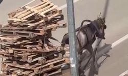 Bursa’da pes dedirten görüntüler