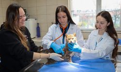 Yalova Belediyesi’nden Erasmus Projesine Destek