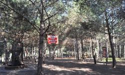 Başkan Fazlaca Müjdeyi Verdi: Bayraktepe Artık Ücretsiz