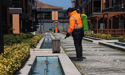 Yalova Belediyesi Görev Başında: Şehrin Her Noktası İlaçlanıyor