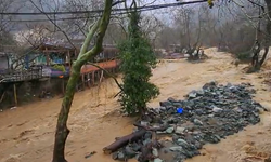 Yalova’da Sağanak Yağışta Dereler Taştı, 5 Büyükbaş Hayvan Telef Oldu