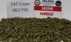 Yalova’da Narkotik Operasyonu: 7 Kişi Yakalandı