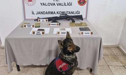 Çınarcık’ta Uyuşturucu ve Silah Operasyonu: 1 Kişi Tutuklandı