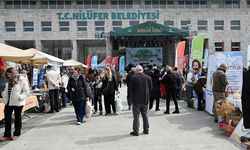 Yalova’nın Atalık Tohumlarına Büyük İlgi