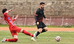 Beraberlikler Haftası