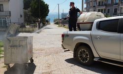 Armutlu, Sokak Sokak İlaçlanıyor