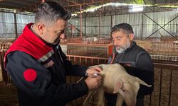 Aşı Çalışmaları Tam Gaz Devam Ediyor