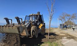 Esenköy'de Sahil Şeridine Fırtına Onarımı