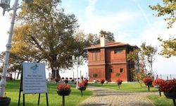 Marmara’nın İncisi Yalova’da Bahar Temizliği: Doğanın Kalbine Yolculuk