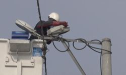 Sokak Lambaları Kuşlara Yuva Oldu