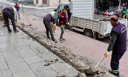 Yalova Pazarpark’ta Yenileme Çalışmaları Başladı