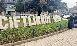 Çiftlikköy’de Atatürk Caddesi Girişi 1000 Menekşeyle Renklendi