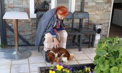 Çiftlikköy’de Fındık ile 1 Yıl Sonra Gelen Duygusal Buluşma