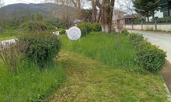 Çınarcık’ta Refüjlerde Bahar Bakımı: İlçe Yaz Sezonuna Hazırlanıyor