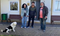 Çınarcıklıklar Sokak Hayvanlarını Sahipsiz Bırakmıyor