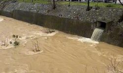 Teşvikiye Belediyesi Dikkat Çeken Paylaşım