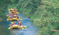 Yalova Gençlik Kampı İçin Neden Geri Planda? “Bu Şehir Gençleri Ağırlayamaz mı?”