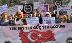 Yalova’da Sokak Hayvanlarının Toplatılmasına Karşı Çıktılar