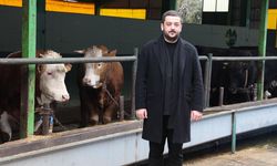 Yalova’da Kurbanın Adresi Güleç Kardeşler: Satışlar Devam Ediyor