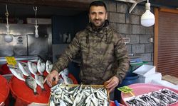 Yalovalı Balıkçı Esnafı, Sona Eren Sezon Hakkında Konuştu