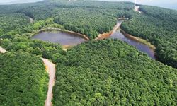 Yalova Turizmi Nereye Gidiyor? İnteraktif Söyleşi Düzenlenecek