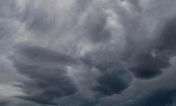 Yalova’da Bahar Yerini Serin ve Yağışlı Havaya Bıraktı