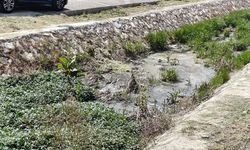 Yalova Üniversitesi Kampüsünde Öğrencilerden Dere Tepkisi