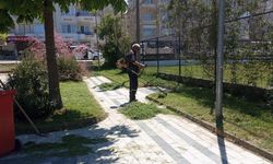 Çınarcık’ta Yeşil Alan ve Çevre Düzenleme Çalışmaları Sürüyor