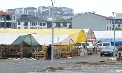Çiftlikköy’de Kurban Pazarı Bayram İçin Hazır