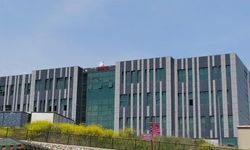 Yalova Üniversitesinde “Sanat” Yarım Kaldı