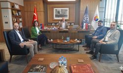 Yalova Aronyası Kozmetik Sektörüne Taşındı